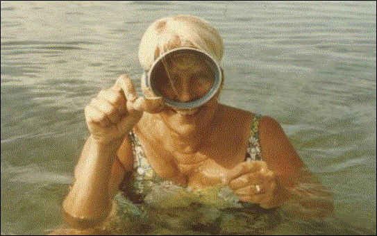 Peggy enjoys "shelling" on the beaches of Nevis
